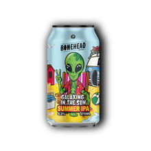Load image into Gallery viewer, Galaxing In The Sun - Summer IPA
